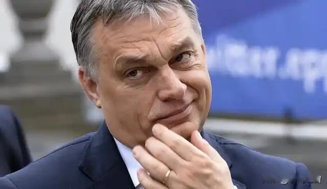 匈牙利总理欧尔班这话可太有意思了，嘴上喊着“欧盟资金解决不了匈牙利的问题”，转头