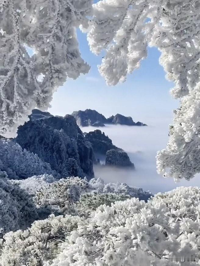 大美黄山雾凇。难怪徐霞客说登黄山而后天下无山。