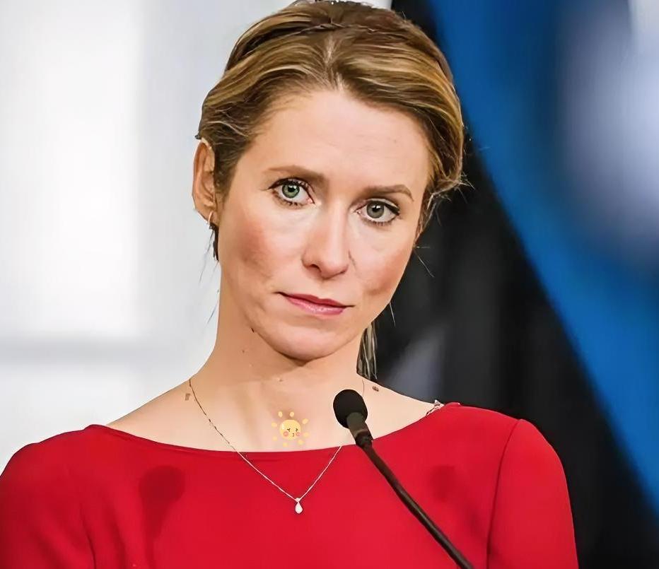 欧盟这次玩脱了！乌克兰入盟梦又要凉凉？就在刚才，慕尼黑安全会议上爆出大消息，