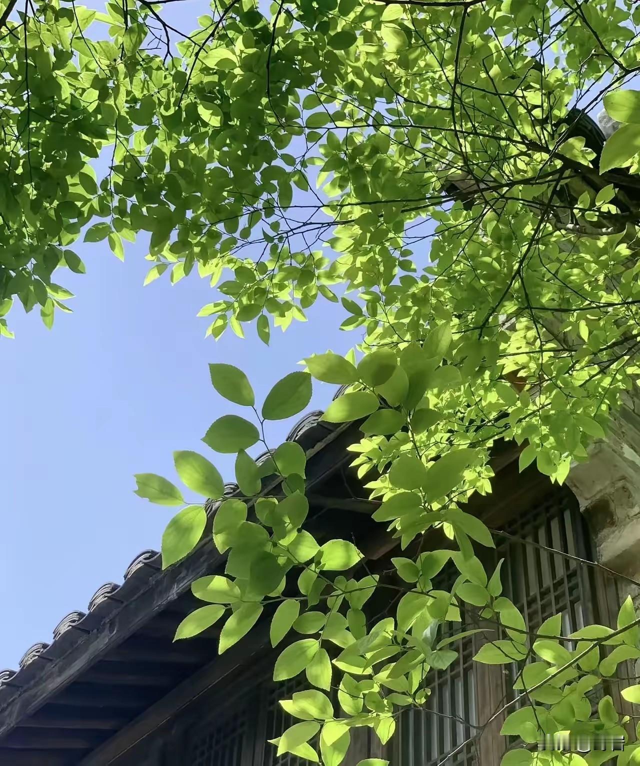 父母一旦老去，子女躲不开的15种现实，看完心生感慨1、学会体谅。父母年纪大