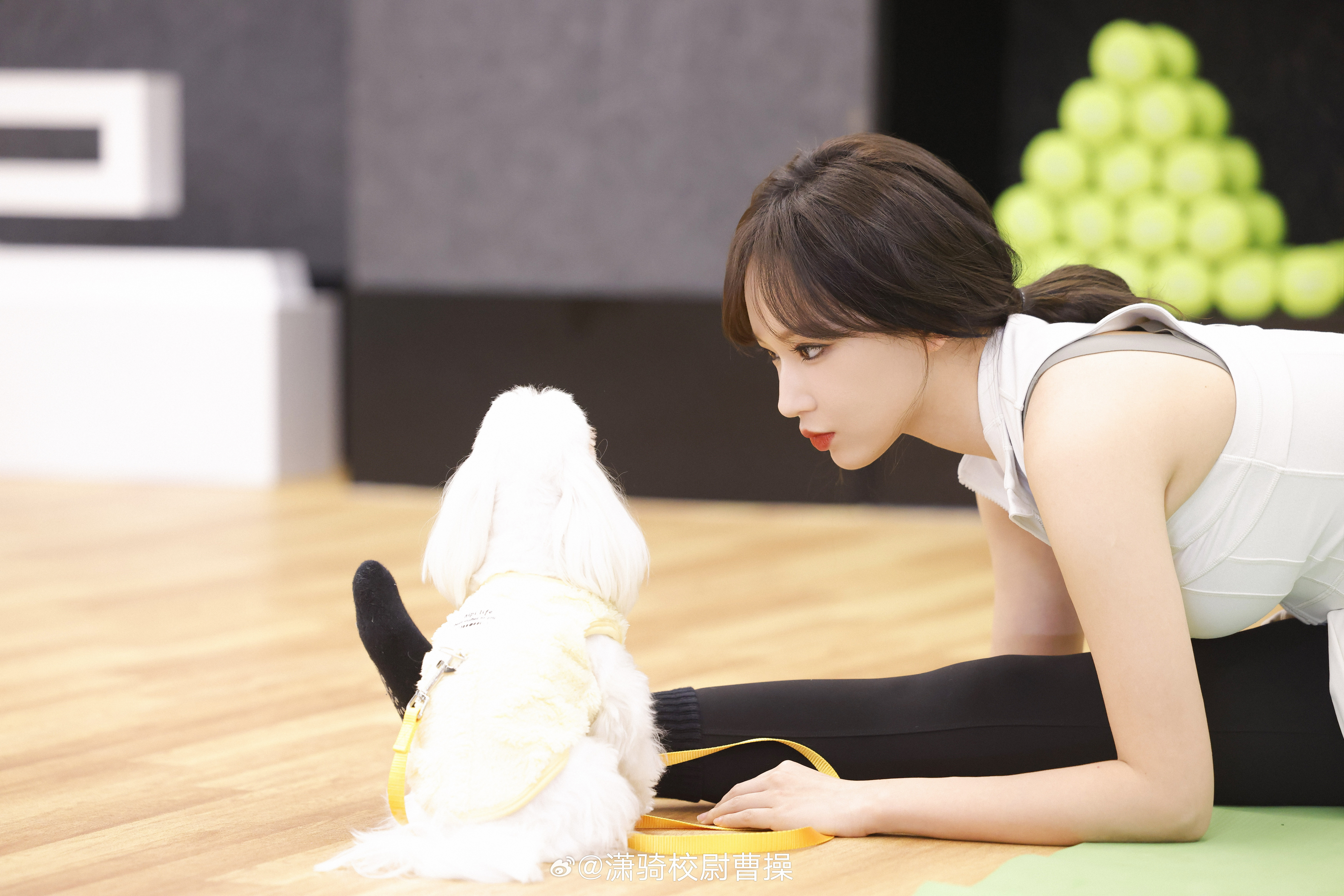 程潇给小狗隐私打码程潇这只狗狗叫小O还上过杂志封面呢