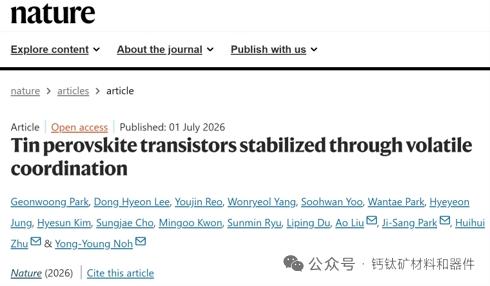锡钙钛矿晶体管登Nature：挥发性配位破解稳定性瓶颈电子科大联合韩国浦项