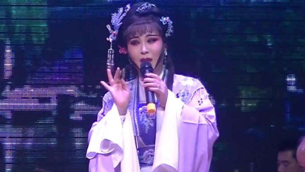 扬州市扬剧团演扬剧全集视频,扬州市扬剧团演唱的扬剧