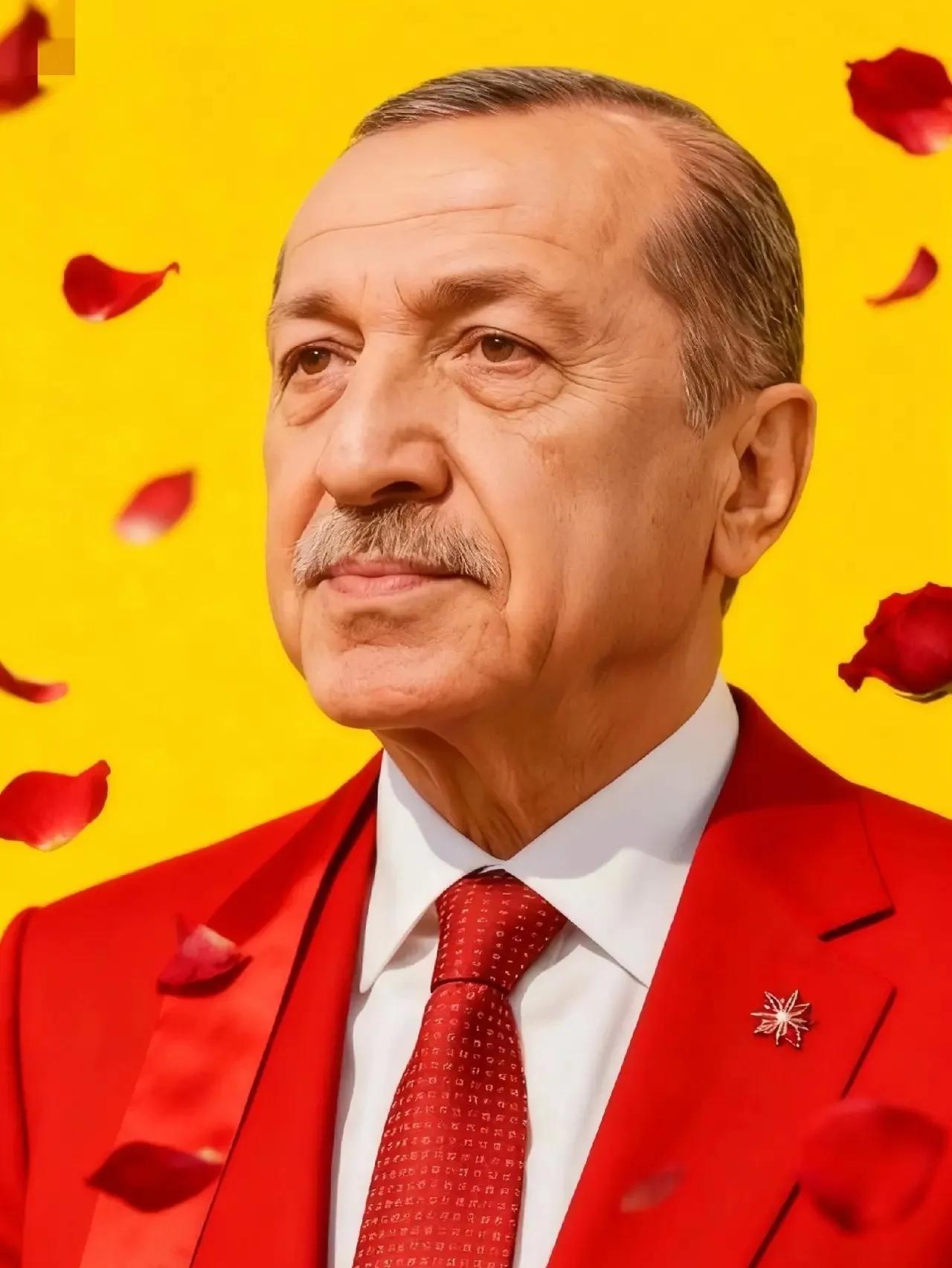 就在刚刚七国外长一致宣布11月4日，当地时间11月3日，土耳其在伊斯坦