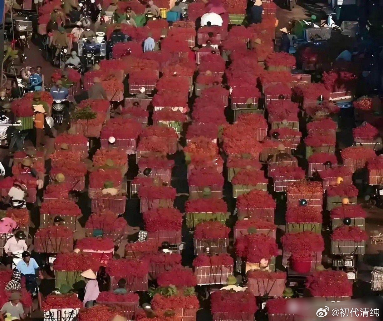 杨梅都要烂大街了，为什么还不肯降价呢？
