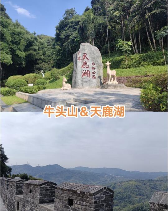 藏在黄埔的“绿野仙踪”｜周末逃离城市计划🏔️挑战与美景并存：牛头山&天
