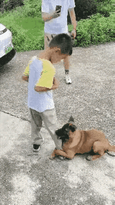 一根火腿肠换一生陪伴!小狗抱腿不放的样子,藏着最纯粹的感恩小男孩递出的一