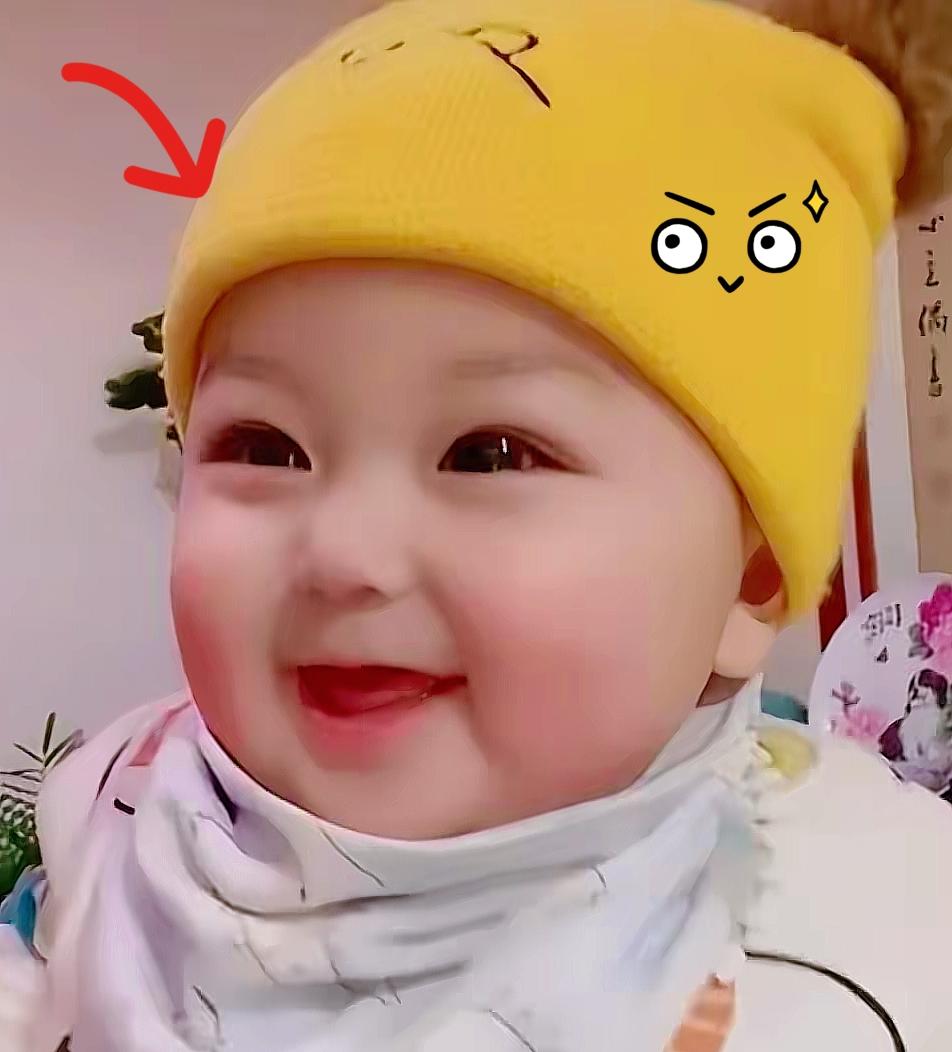 都开学一个多星期了，上大四儿子送回来的礼物让我养着，还说好好喂，他说他已经喂养好