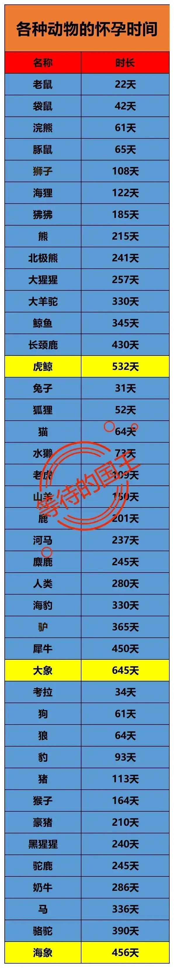 为什么奶牛的体型那么大，他们的怀孕期却和人类接近？一般来说体型越大，器官越复