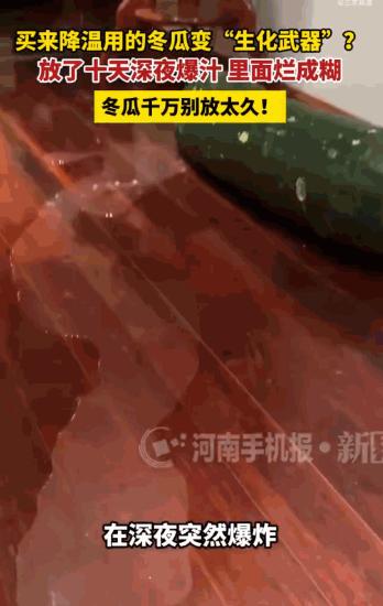 上海，一男子买冬瓜给宠物当“天然冰袋”，放客厅十几天没管。结果半夜一声闷响，冬瓜