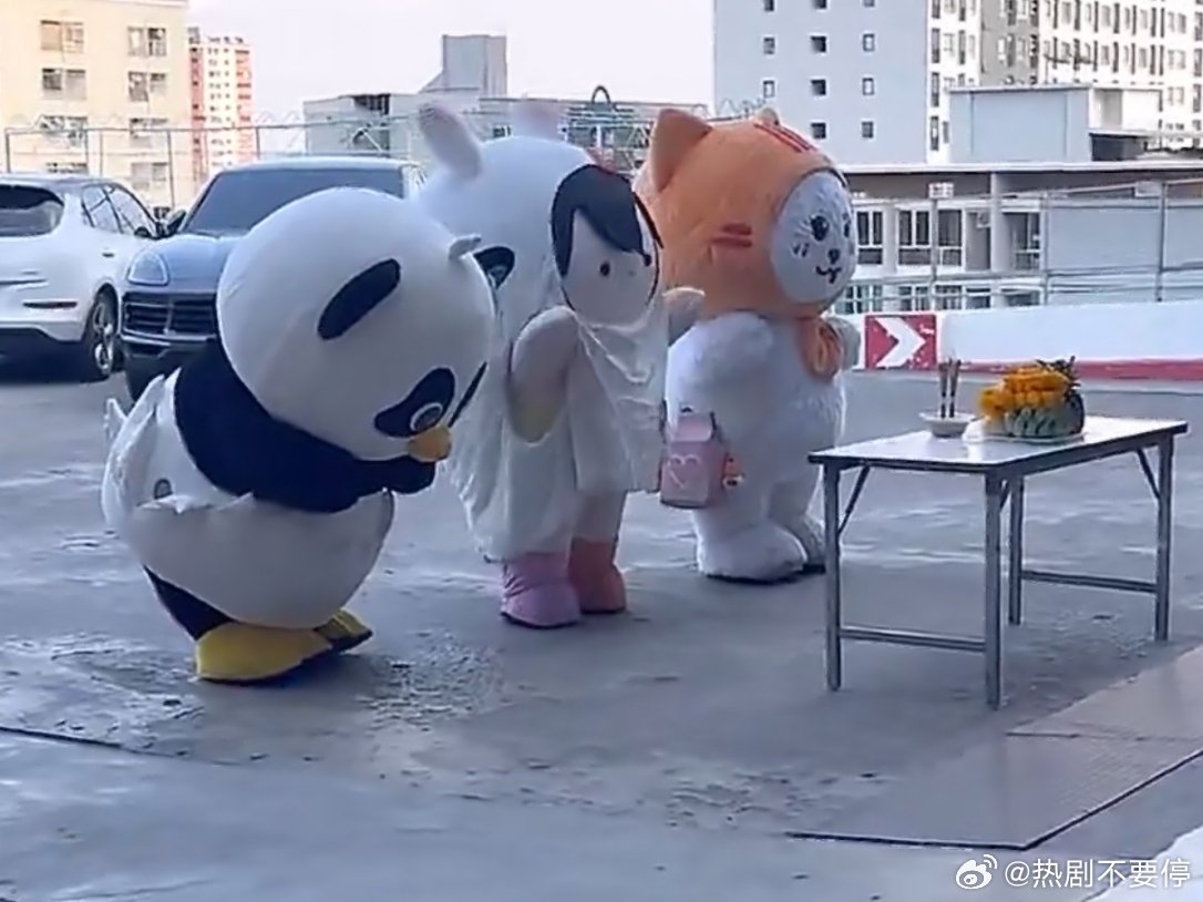 全泰国最虔诚的鸭子原来是糖影家的lunar宝宝！搞笑女人设不倒～