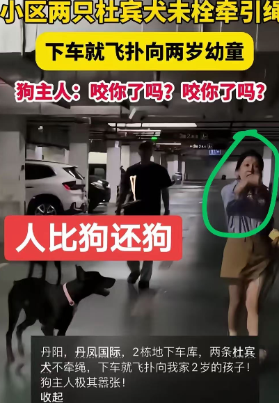 太气愤了！现在最慌的不是那2只杜宾犬的女狗主人，也不是丹阳民警，更不是小区物业