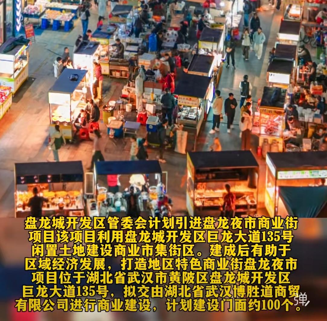 盘龙城夜市商业街来了估计是看到府河夜市火了，让夜生活的商业价值再次被重视。计划
