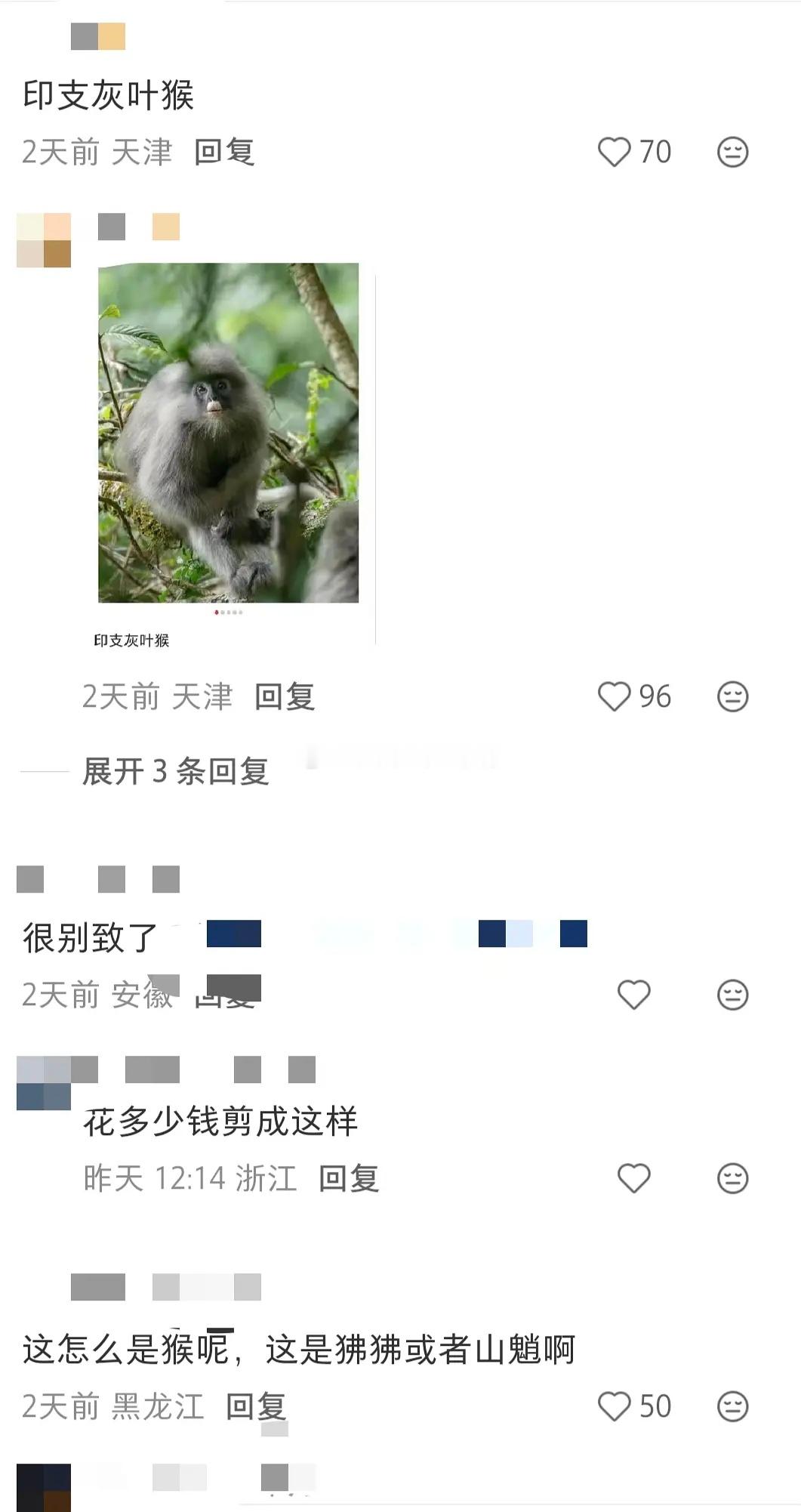 猫咪长得像狒狒hhhhhhhhh～🤣🤣