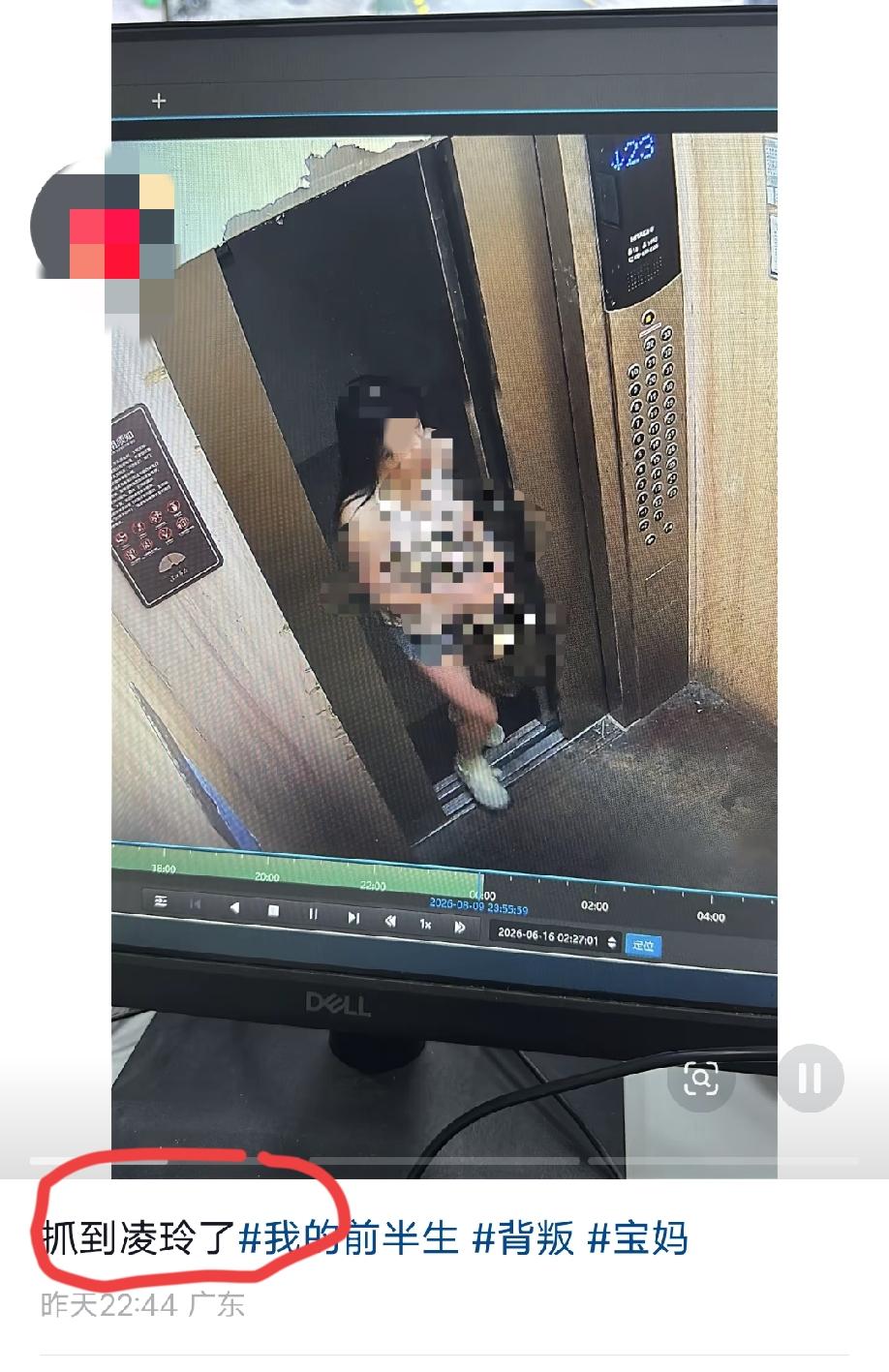 广东潮州，女子发视频爆料:抓到一只“凌玲”了！从这个女的发布的几个视频以及评论