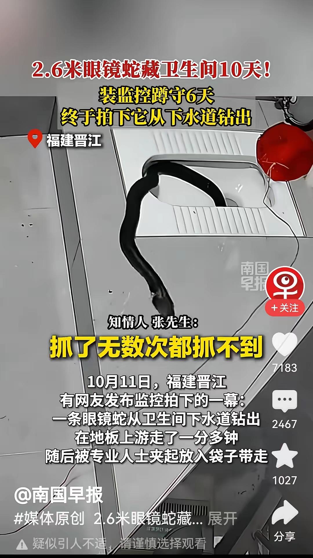 太吓人了！2.6米眼镜蛇藏在男子家里卫生间10天，抓了无数次都抓不到，因为蛇太狡