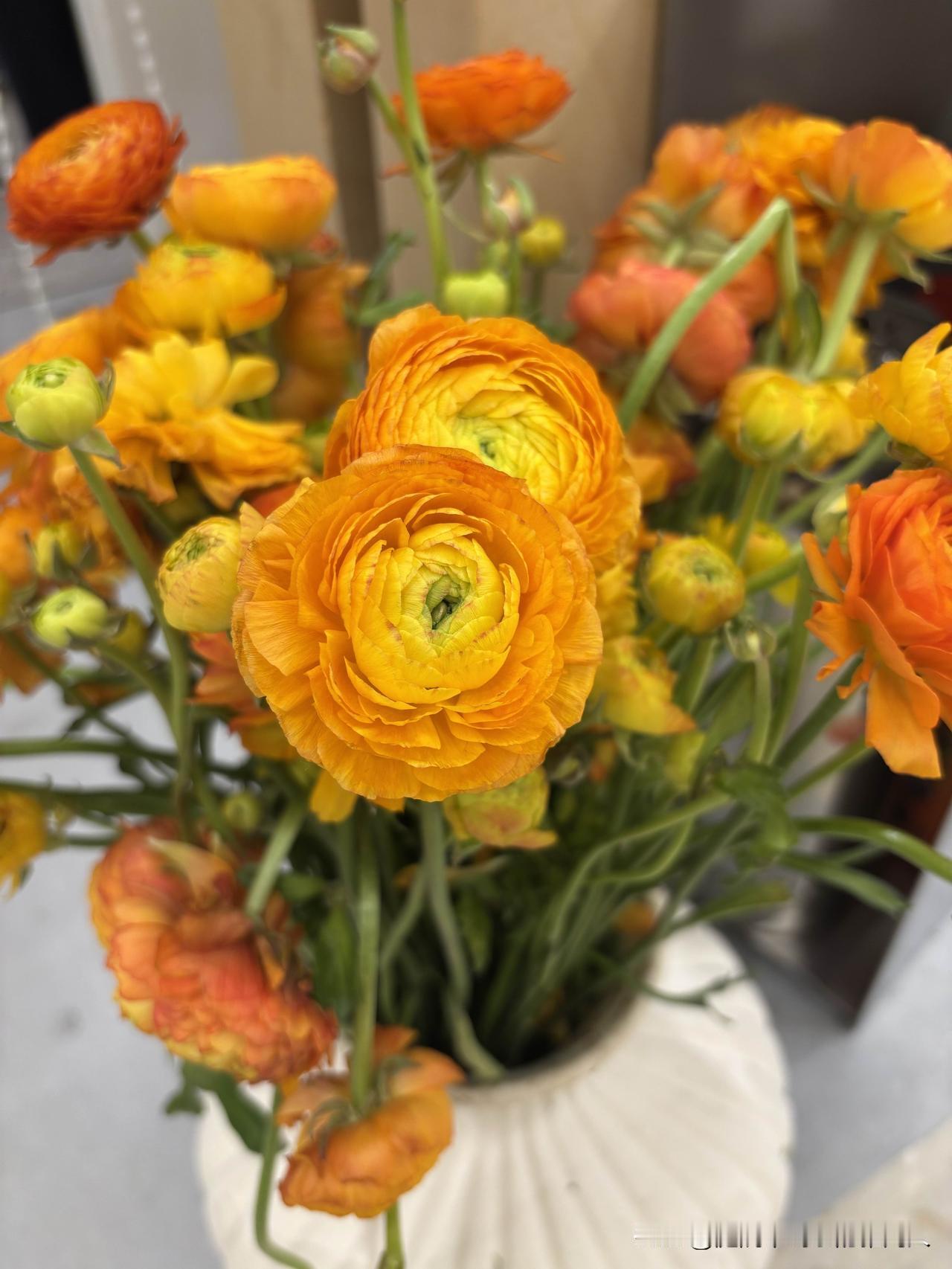 奶奶常说，真正的好夫妻，从来不是一辈子没红过脸、没吵过架，而是就算吵得面红耳赤，