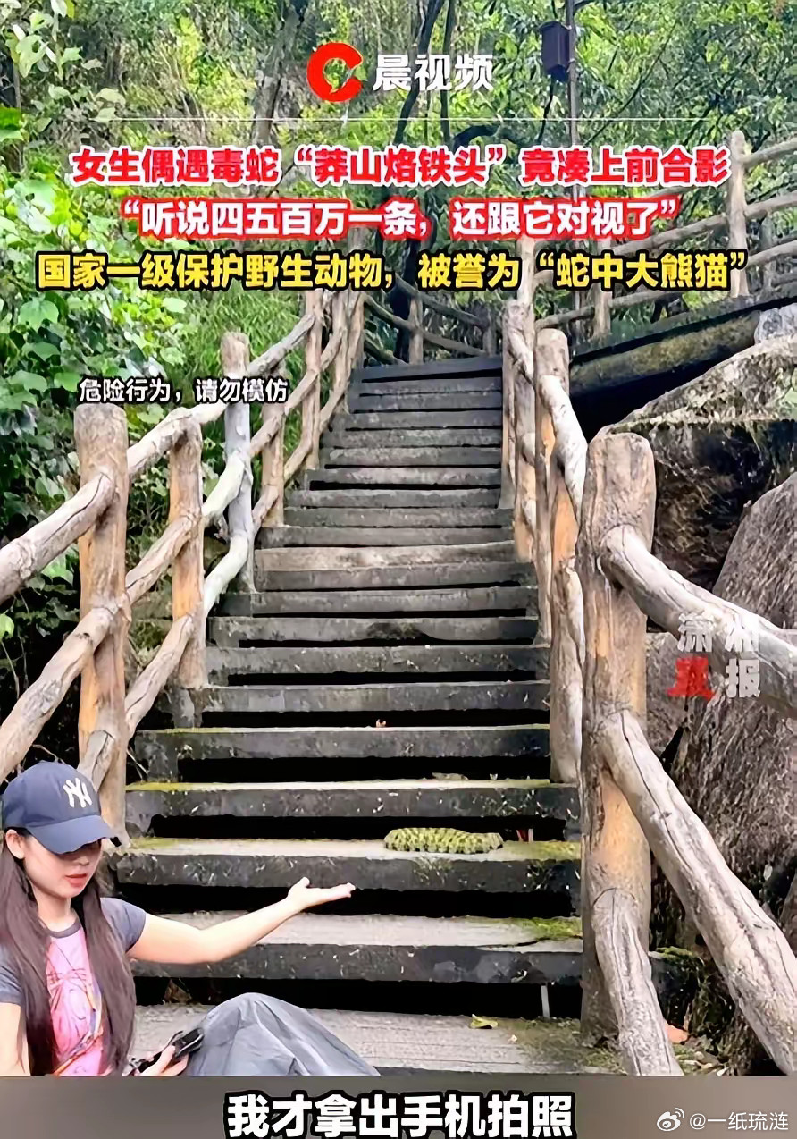 不作死就不会死！​湖南，一女子去爬莽山，期间，在一处台阶处，有一条蛇盘在那里睡觉
