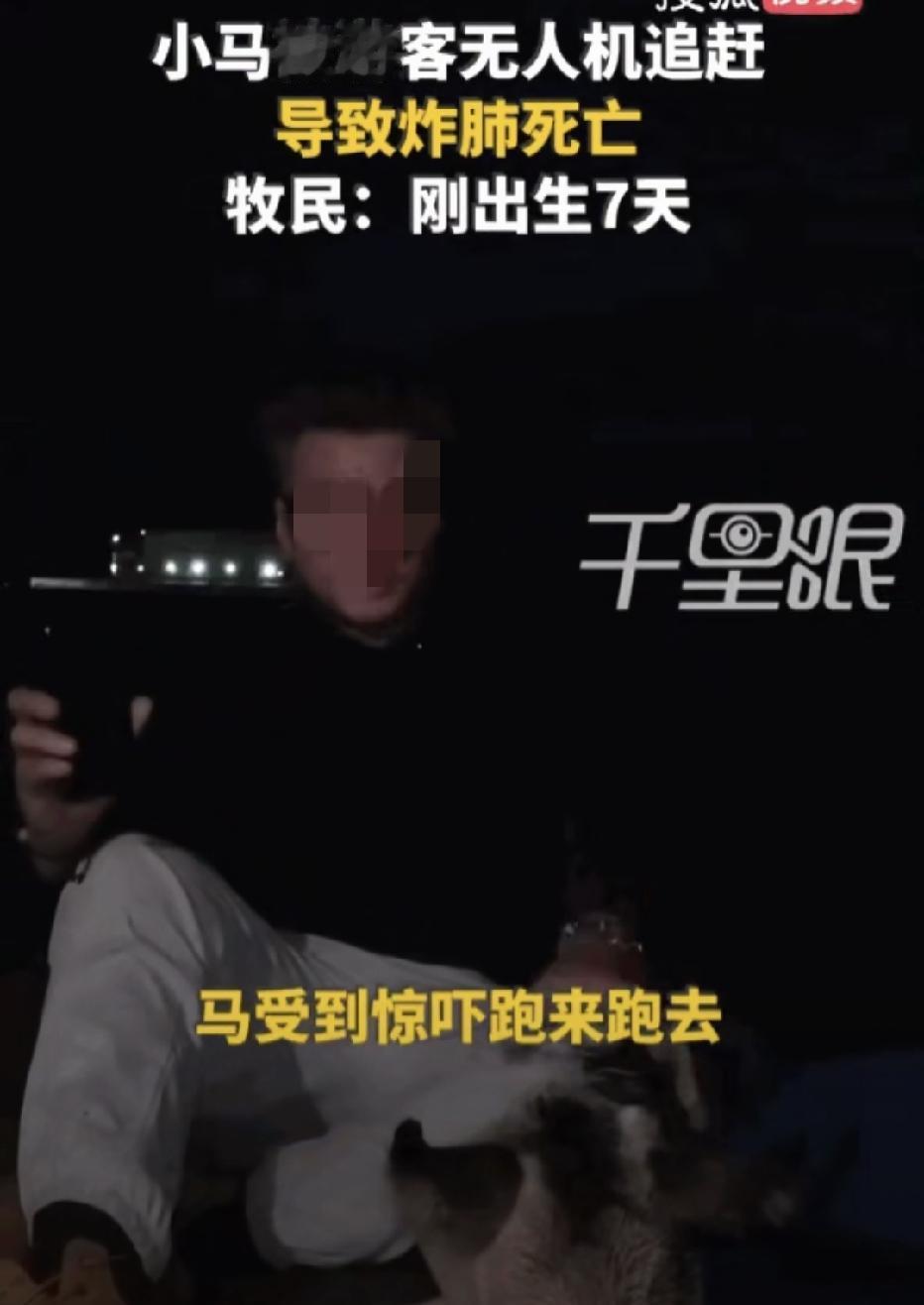 天生坏种！6月25日，新疆巴音郭楞，一名游客，为了追求镜头下的“史诗级大片”，竟
