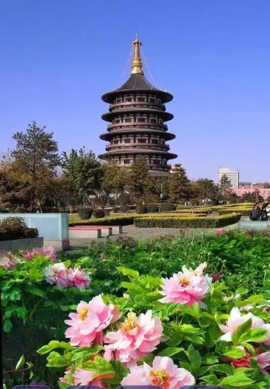 为什么上亿人爱来洛阳？上亿人爱来洛阳，原因可太多了。洛阳是十三朝古都，有龙门石窟