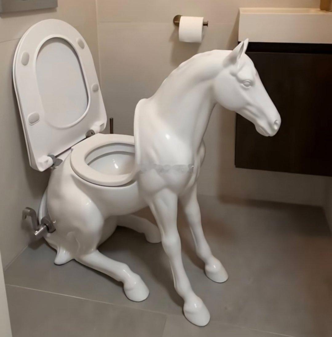 这马桶只能女的用，男的用不了