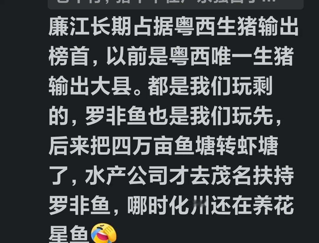 经别的网友提及，我们茂名的高州市、化州市、信宜市以及电白区，实际上都只能算是小弟