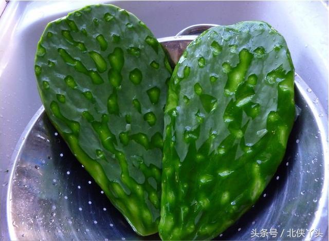 哪种多肉植物对人体有好处? 可以吃的多肉, “包治百病”的多肉