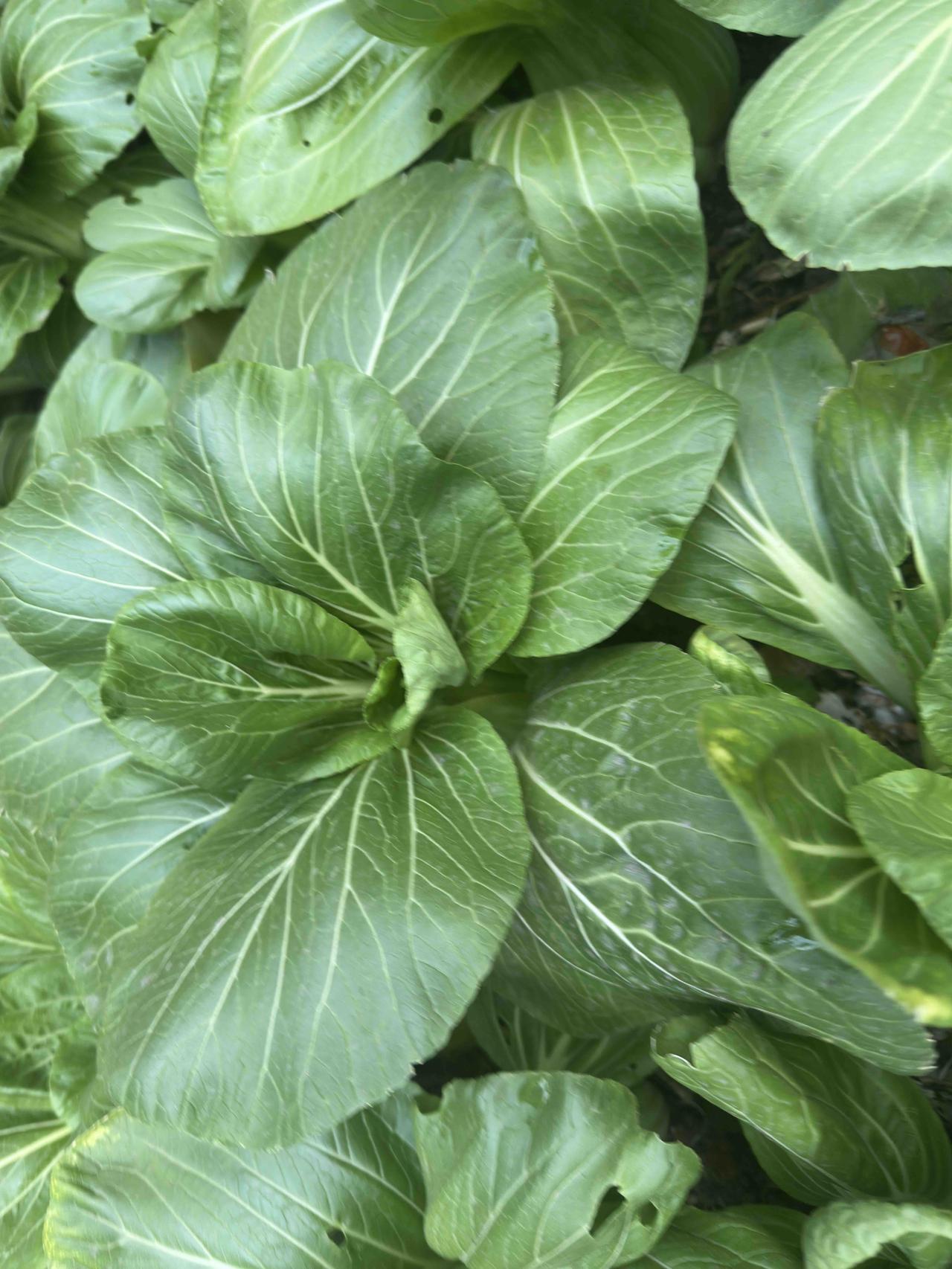 睡眠质量堪忧！前天夜里睡得比较好，一觉睡到自然醒，差不多睡了七个小时，昨夜差不