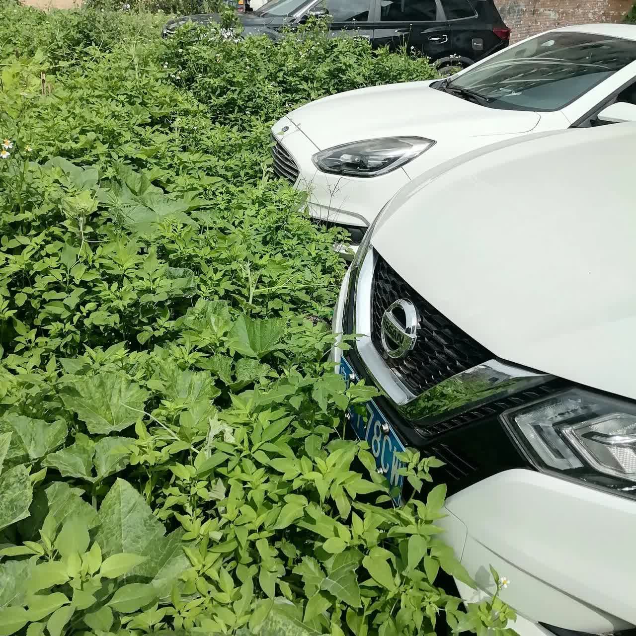 虽然现在的小车以经进入了千家万户，车子本身是一种代步工具，无可厚非，但是，对于部