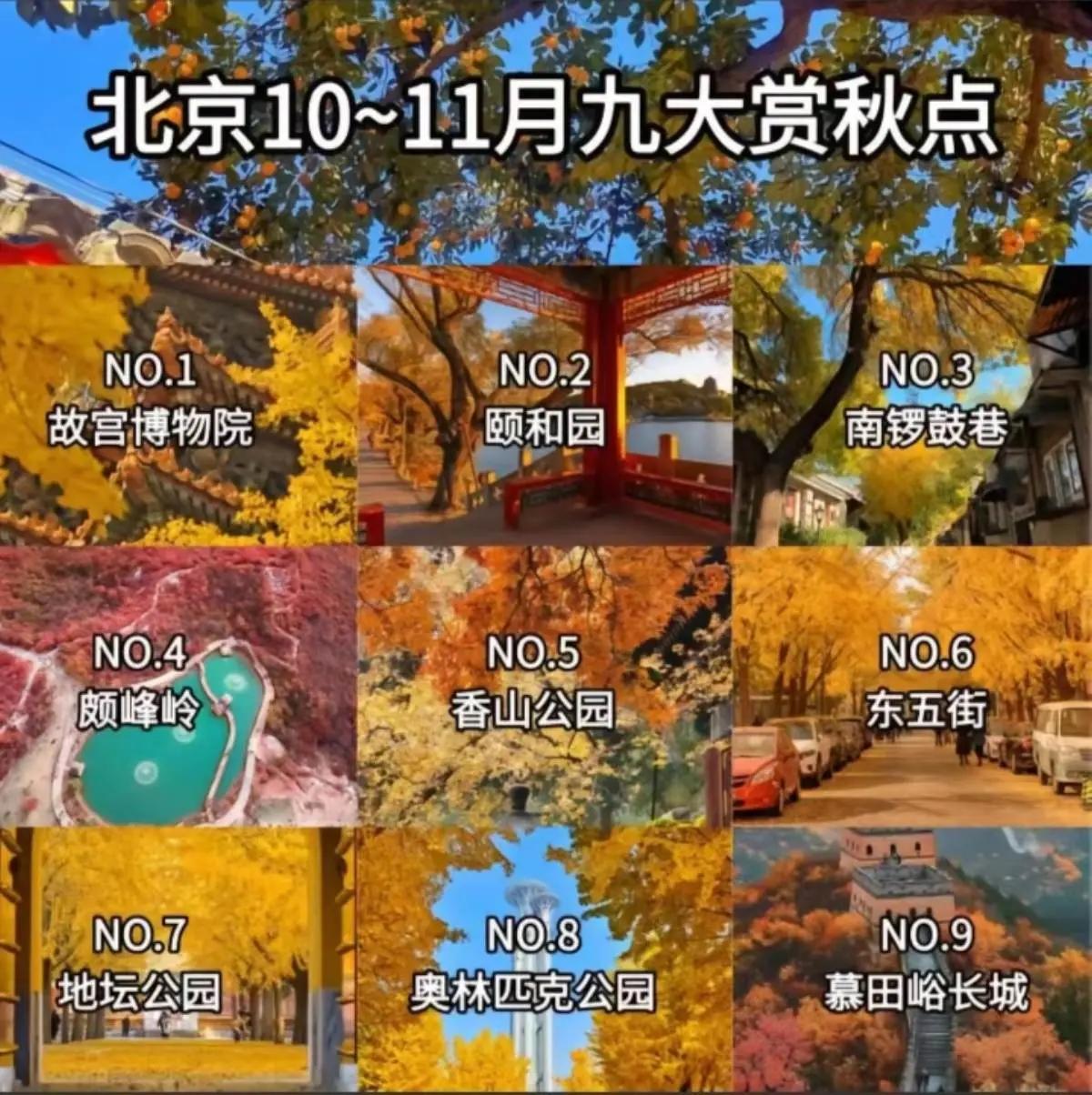 北京红叶去哪看？100个赏秋点任你挑别再愁秋日没地赏红叶！北京甩出“秋日宝
