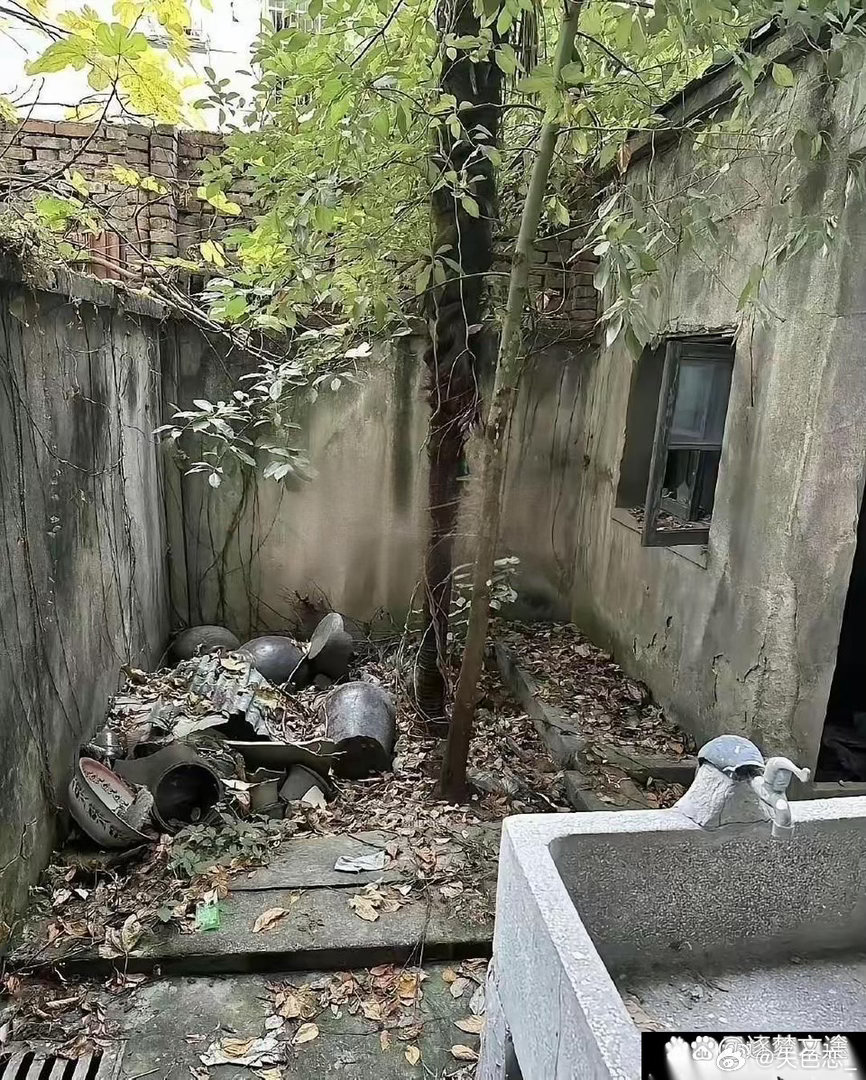 花了两千块钱，你觉得值吗？​​​