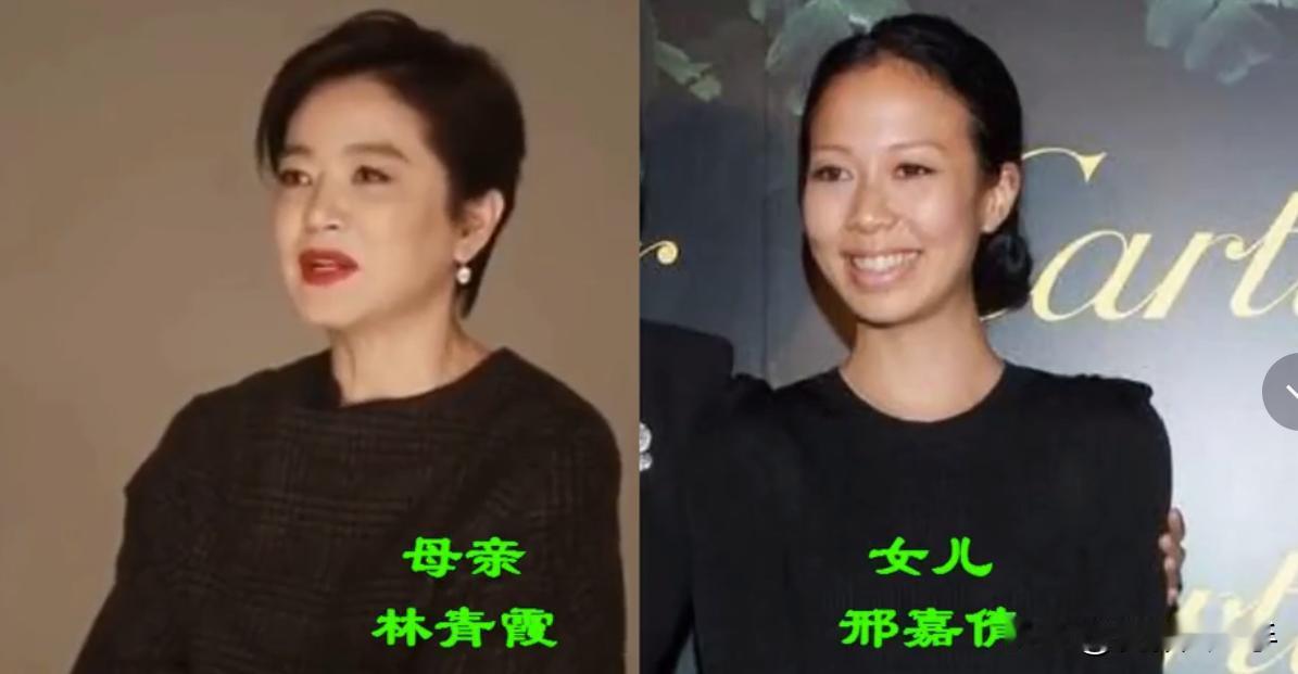 18位港台女星和她们的女儿颜值对比。李连杰两任妻子，黄秋燕和利智，前妻女儿颜值