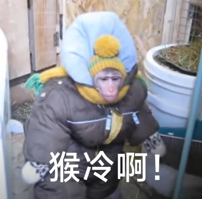 北京的秋天太适合露营了北京哪来的秋天呀，现在穿卫衣加外套都冷的不行[病了哦]​