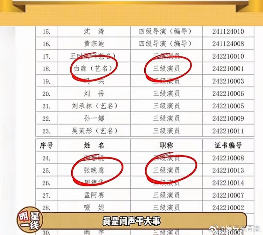 发现没？同样都被“破格”评为3级演员，为什么大家只抨击白鹿，不提张晚意？今天下午
