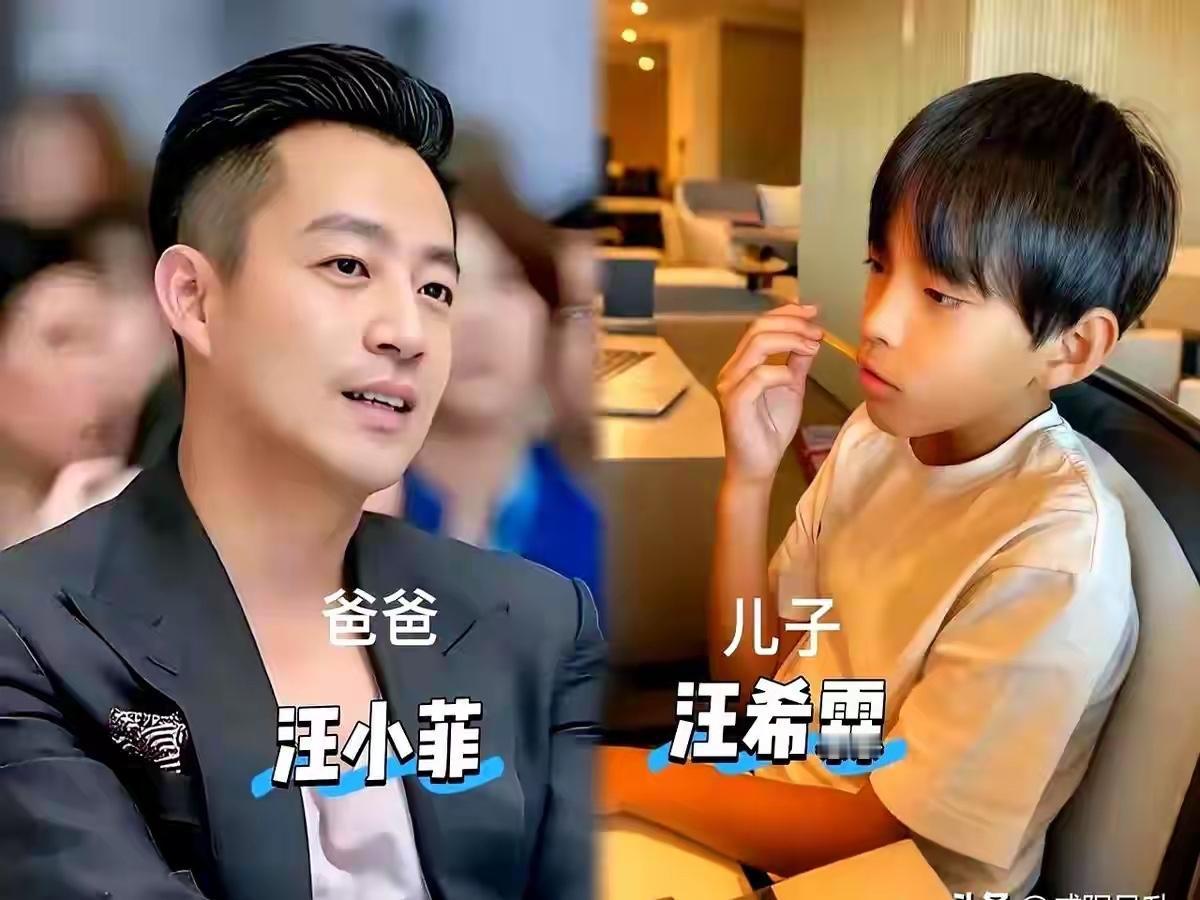 小菲现在对孩子们的要求不高，快乐成长就可以了，其他的不重要，大家一起最开心。他现