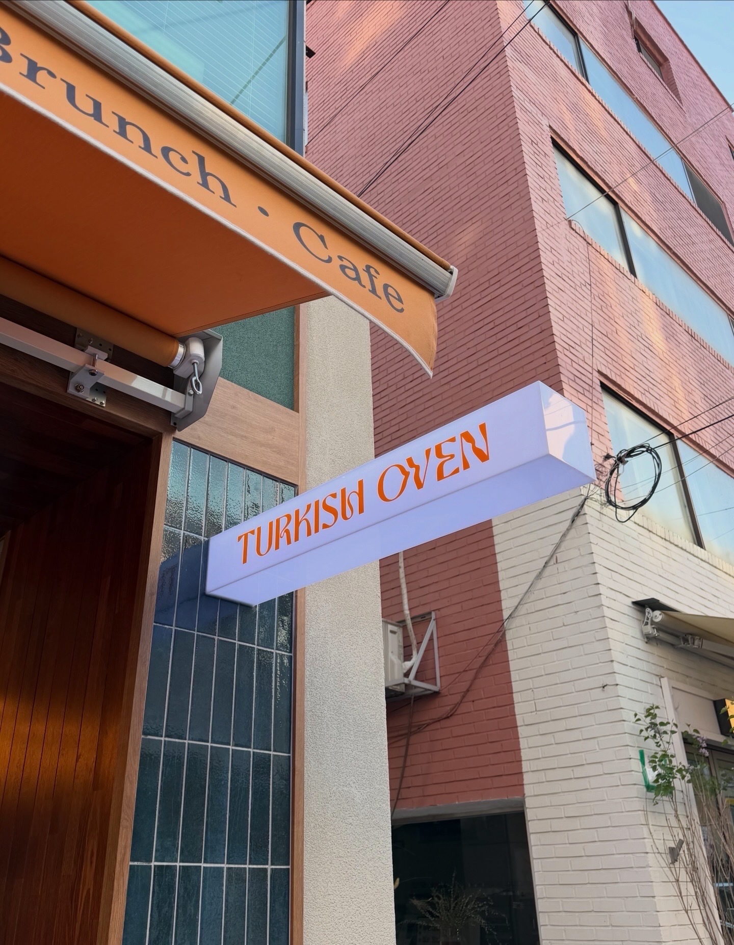 娜妍熙斗看樱花约会