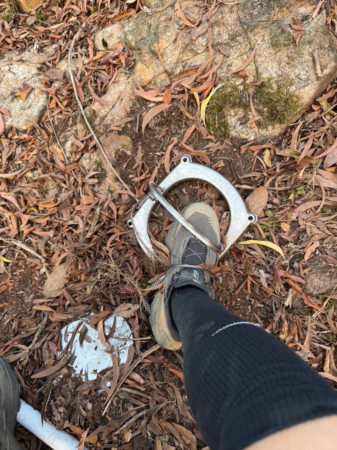 必须严惩！广东广州，一名男子周末去白云山徒步，走在山林间，突然脚下一阵剧痛。低头