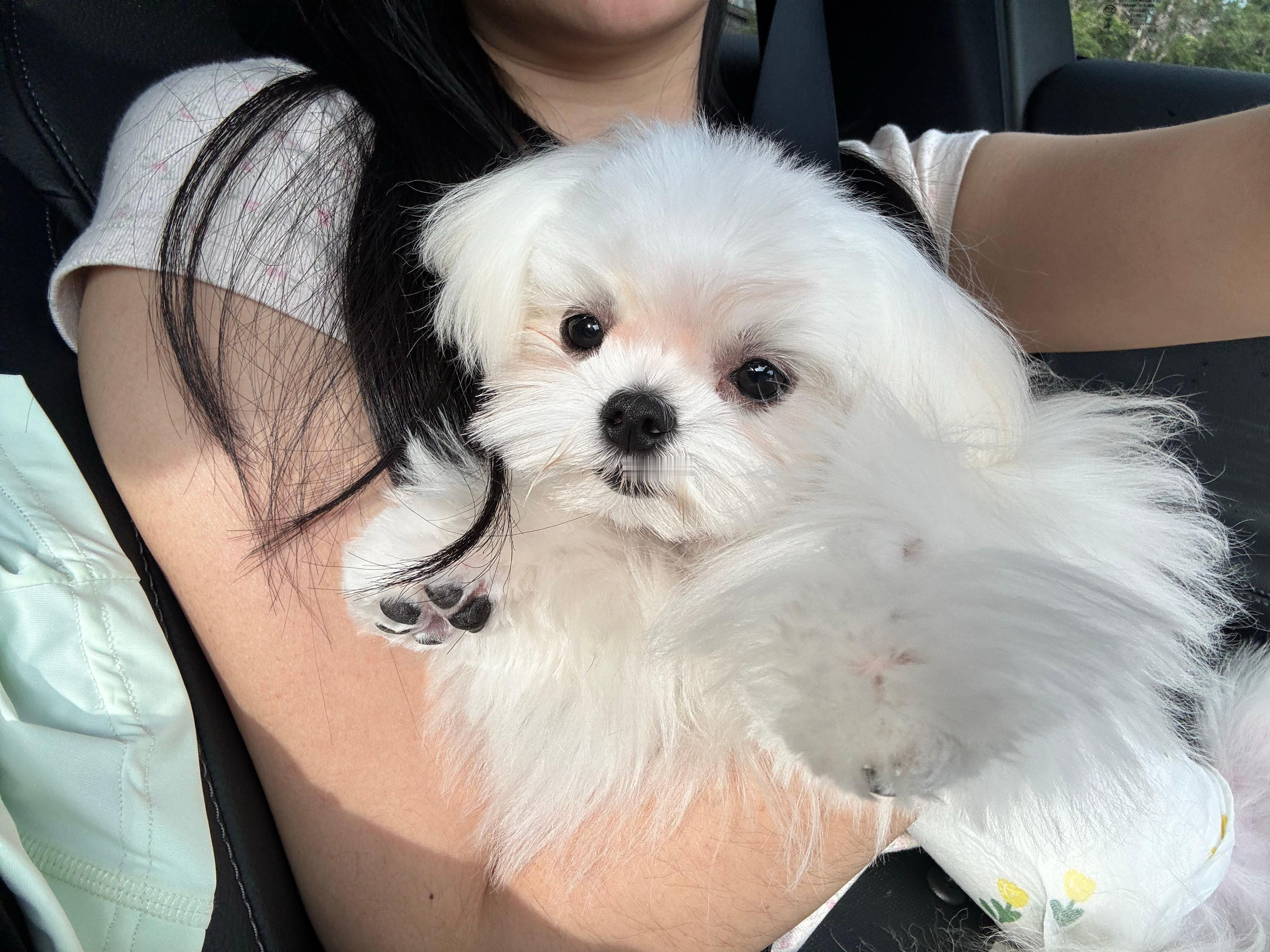 香木你很萌啊​​​