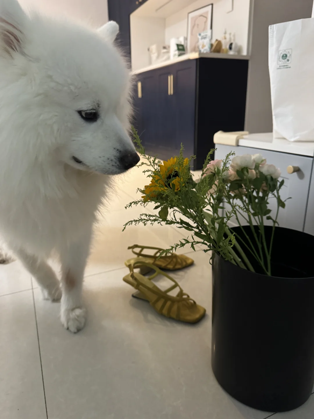 这能吃吗？