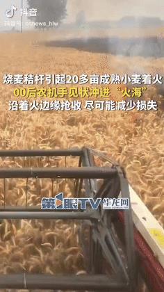 “还是好人多！”湖北天门，一00后农机手突然接到农民大哥电话，对方表示地里面的麦