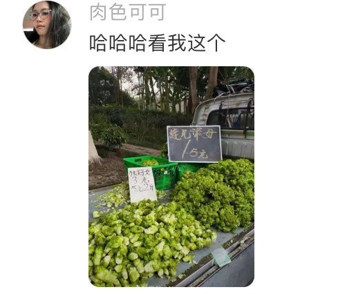 只有川渝人才懂得提示​​​