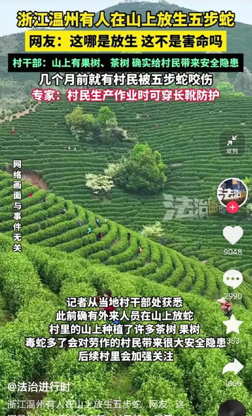 放生毒蛇的人是积德还是缺德？搞不明白这些人脑子里面想什么？跑到人家茶种茶树的山上