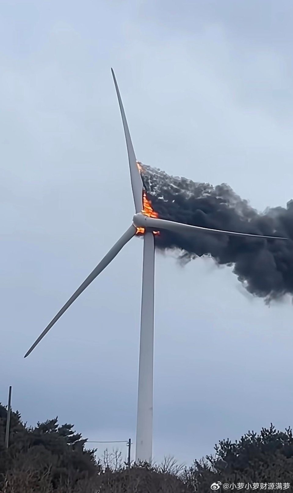 一台风力发电机到底要多少钱？多久能回本？今天咱们仔细算一笔账。就拿5兆瓦的风机来