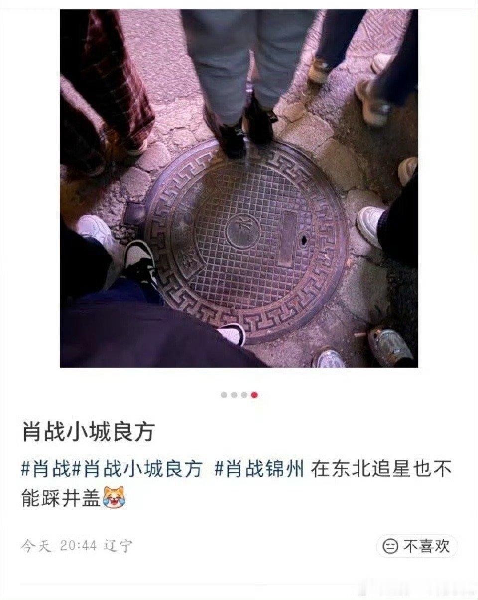 笑不行了，东北追星也不踩井盖，大家注意一下​​​