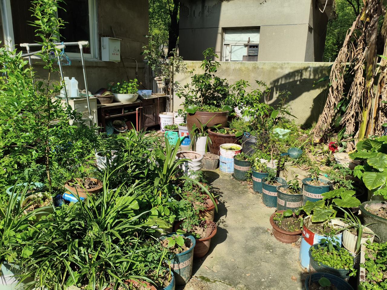 亲绿的《美丽岛电子报》台湾4月底公布的最新民意调查结果显示，22%的台湾人愿意接