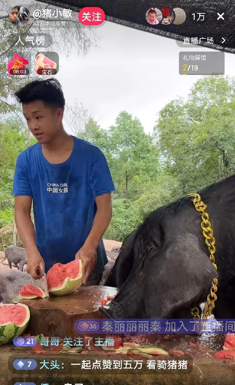 大热的天，二师兄也吃瓜自由了，日韩两国网友会不会集体破防？今刷视频，大热的天，