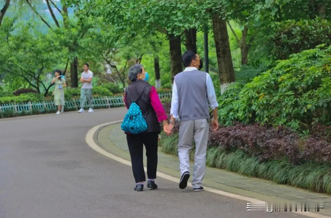 租客和房东在一起搭伙过日子，这种情况我还是第一次看到。小区里有老两口，他们天