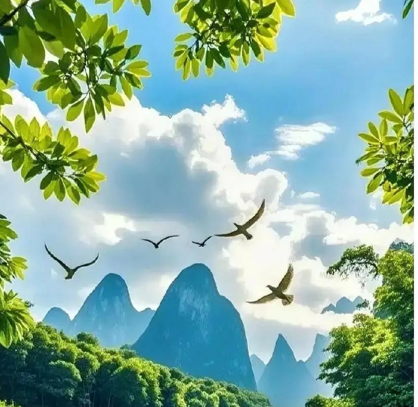 高考突发眼疾！学霸痛失40分与梦校擦肩，家长急疯：593分在南方能上哪所985？