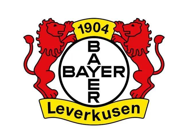 勒沃库森队史球星地位排行榜TOP10：1、基尔斯滕（德国）2、巴拉克（德国）