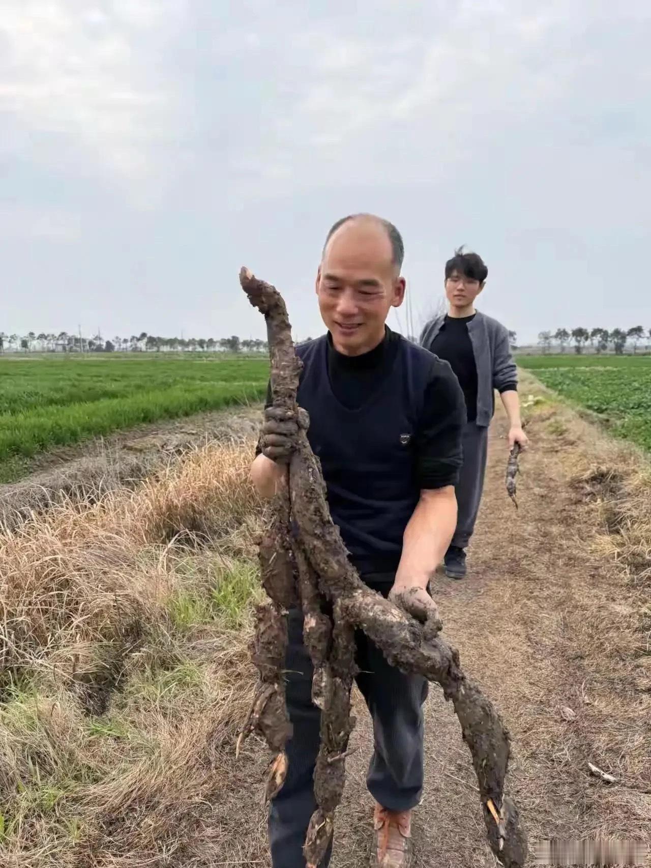 出淤泥而不染